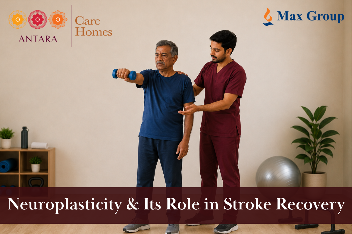 neuroplasticity-and-role-in-stroke-recovery